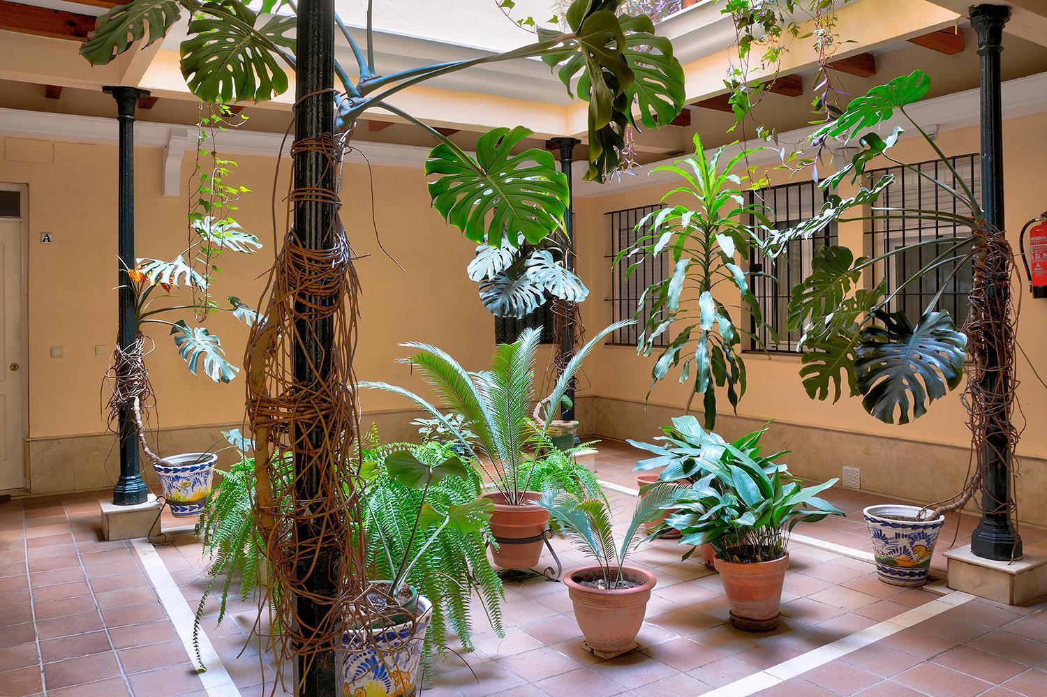 Appartement Bonito Piso En Calle Antolinez *